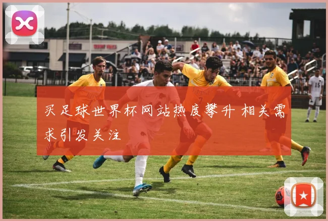买足球世界杯网站热度攀升 相关需求引发关注