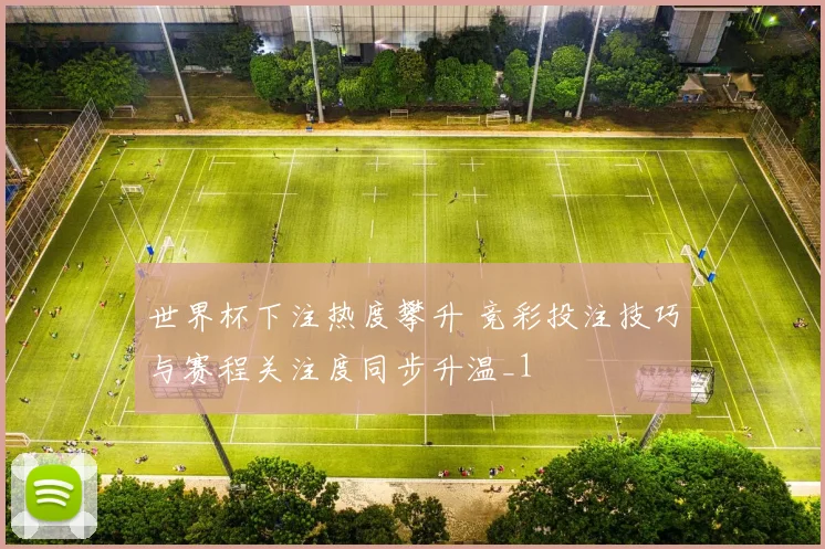 世界杯下注热度攀升 竞彩投注技巧与赛程关注度同步升温_1