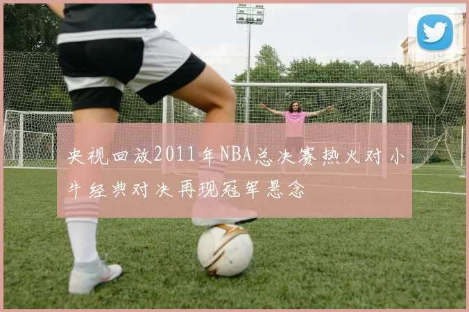 央视回放2011年NBA总决赛热火对小牛经典对决再现冠军悬念