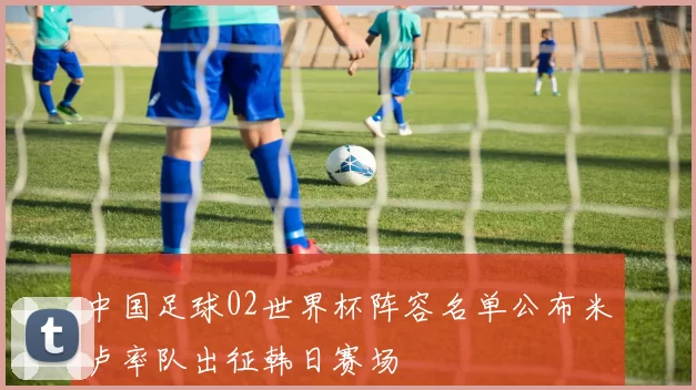 中国足球02世界杯阵容名单公布米卢率队出征韩日赛场
