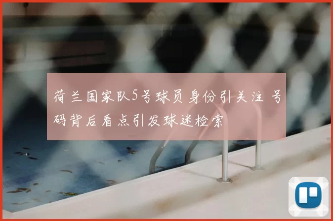 荷兰国家队5号球员身份引关注 号码背后看点引发球迷检索